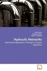 Hydraulic Networks - Victor Diniz