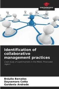 Identification of collaborative management practices - Barcelos Bráulio