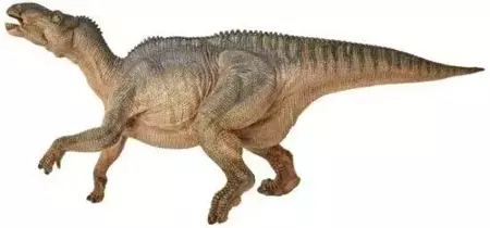 Iguanodon - PAPO