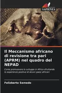 Il Meccanismo africano di revisione tra pari (APRM) nel quadro del NEPAD - Semedo Felizberto