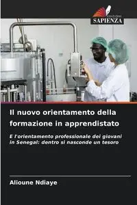 Il nuovo orientamento della formazione in apprendistato - Ndiaye Alioune