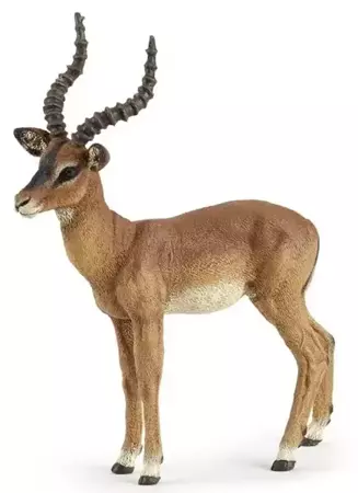 Impala - PAPO