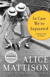 In Case We're Separated - Alice Mattison