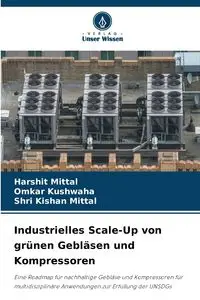 Industrielles Scale-Up von grünen Gebläsen und Kompressoren - Mittal Harshit