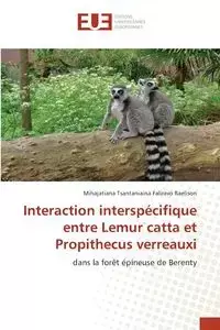 Interaction interspécifique entre Lemur catta et Propithecus verreauxi - Faliravo Raelison Mihajatiana Tsanta...