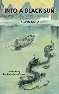 Into A Black Sun - Kaiko Takeshi