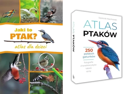 JAKI TO PTAK ? ATLAS DLA DZIECI + ATLAS PTAKÓW 250 POLSKICH GATUNKÓW zestaw - Dominik Marchowski