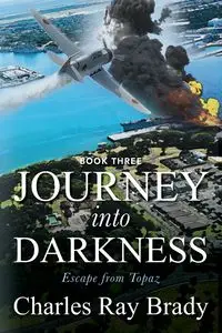 JOURNEY INTO DARKNESS - Brady Charles Ray