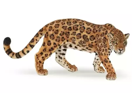 Jaguar - PAPO