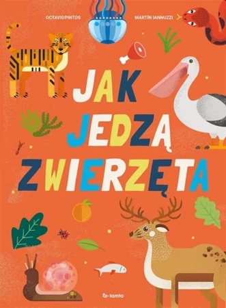 Jak jedzą zwierzęta - Octavio Pintos, Martin Lannuzzi, Joanna Ostrowska