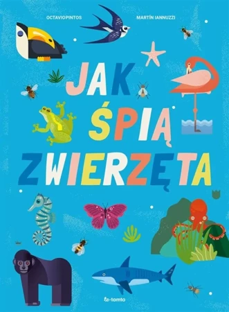 Jak śpią zwierzęta - Octavio Pintos, Martin Lannuzzi, Joanna Ostrowska