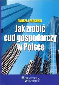 Jak zrobić cud gospodarczy w Polsce - Andrzej Machnik