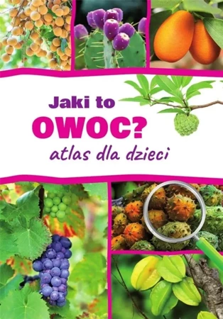 Jaki to owoc? Atlas dla dzieci - Aleksandra Halarewicz