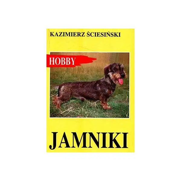 Jamniki - KAZIMIERZ ŚCIESIŃSKI