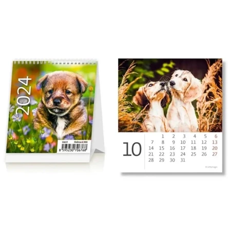 Kalendarz 2024 biurkowy Mini Pieski miesięczny - Helma