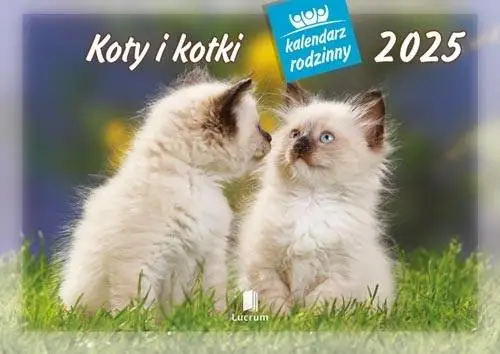 Kalendarz 2025 Rodzinny Koty i kotki - x