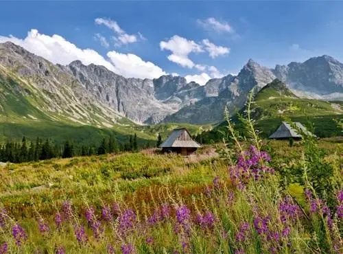 Kalendarz 2025 ścienny trójdzielny Tatry - Radwan