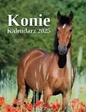 Kalendarz 2025 wieloplanszowy Konie - Artsezon