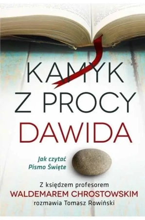 Kamyk z procy Dawida. Jak czytać Pismo Święte? - Ks. Waldemar Chrostowski