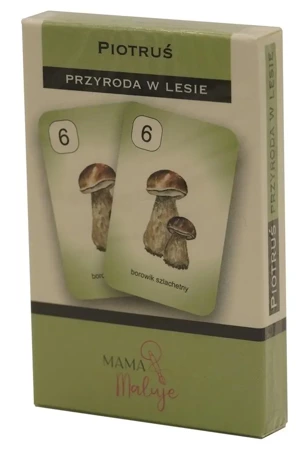 Karty Piotruś - Przyroda w lesie - Mama Maluje