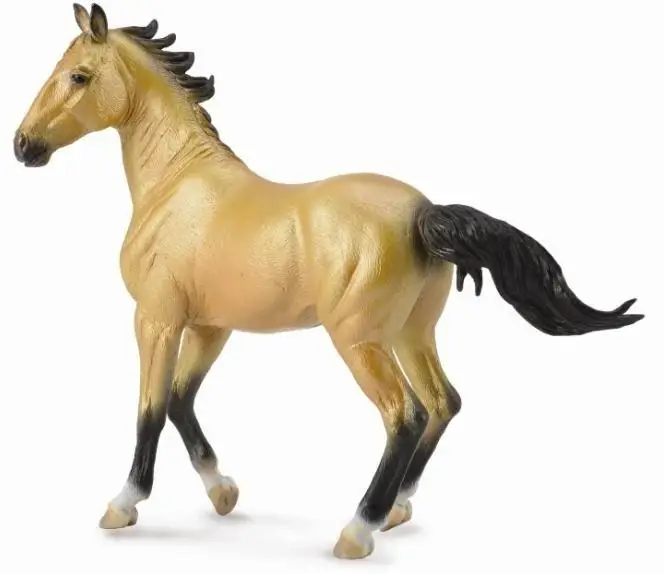 Klacz Akhal Teke Buckskin - Collecta