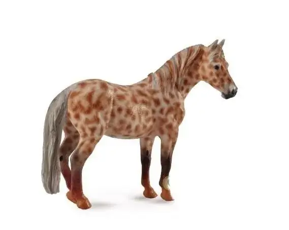 Klacz British Spotted Pony maści kasztan leopard - Collecta