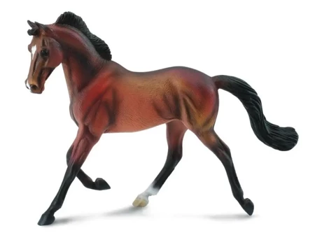 Klacz Thoroughbred maści Bay - Collecta