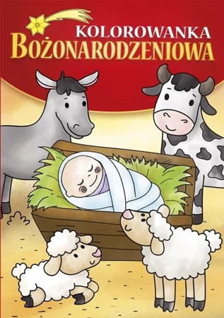 Kolorowanka Bożonarodzeniowa - Marcin Łaptos, Anna Wiśnicka