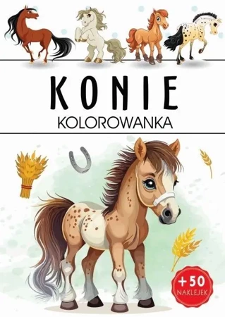 Kolorowanka. Konie - praca zbiorowa