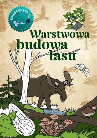 Kolorowanka. Warstwowa budowa lasu - Katarzyna Kopiec - Sekieta