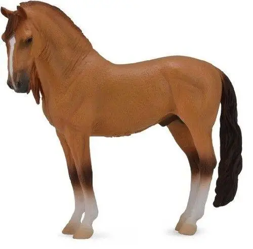 Koń Campolina Stallion Red Dun - Collecta