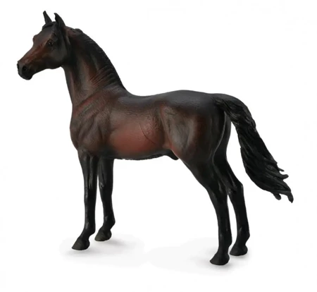 Koń Morgan Stallion - Bay - Collecta