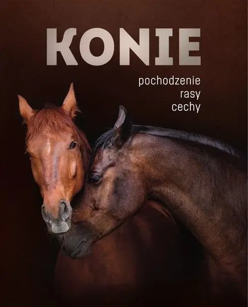 Konie. Pochodzenie, rasy, cechy - Patrycja Zarawska, Ewa Walkowicz