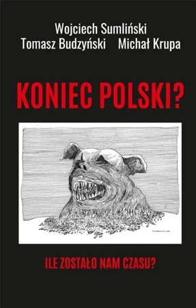 Koniec Polski? Ile zostało nam czasu? - Wojciech Sumliński