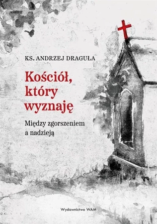 Kościół, który wyznaję. Między zgorszeniem... - Andrzej Draguła