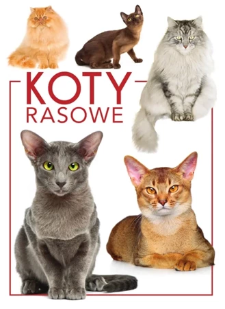 Koty rasowe - praca zbiorowa