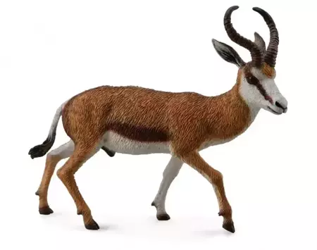 Kozioł Springbok - Collecta