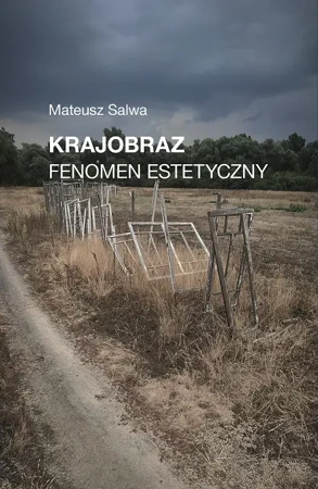 Krajobraz. Fenomen estetyczny - Mateusz Salwa