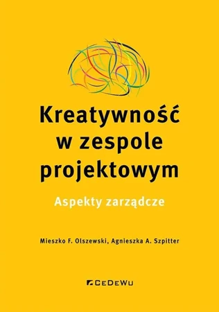 Kreatywność w zespole projektowym - Mieszko F. Olszewski, Agnieszka A. Szpitter