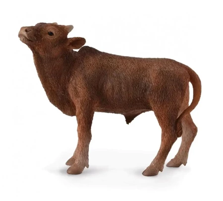 Krowa Ankole-Watusi Calf - Collecta