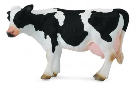 Krowa Friesian - Collecta