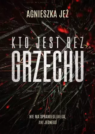 Kto jest bez grzechu - Agnieszka Jeż