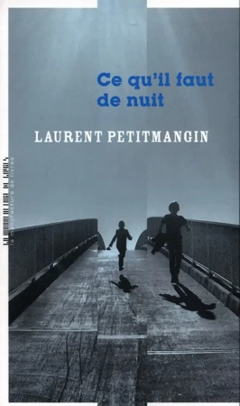 LF Petitmangin. Ce qu'il faut de nuit - Laurent Petitmangin