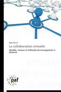 La collaboration virtuelle - DIVINE-M