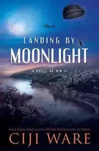 Landing by Moonlight - Ware Ciji