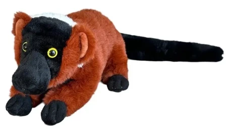 Lemur vari rudy 25cm - Dubi