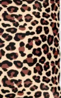 Leopard Sir Michael Designer  Writing  Drawing Journal - Michael Huhn