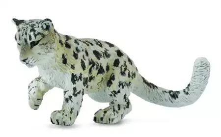 Leopard młody śnieżny bawiący się - Collecta