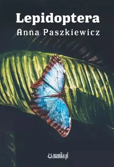 Lepidoptera - Anna Paszkiewicz