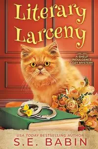 Literary Larceny - Babin S.E.